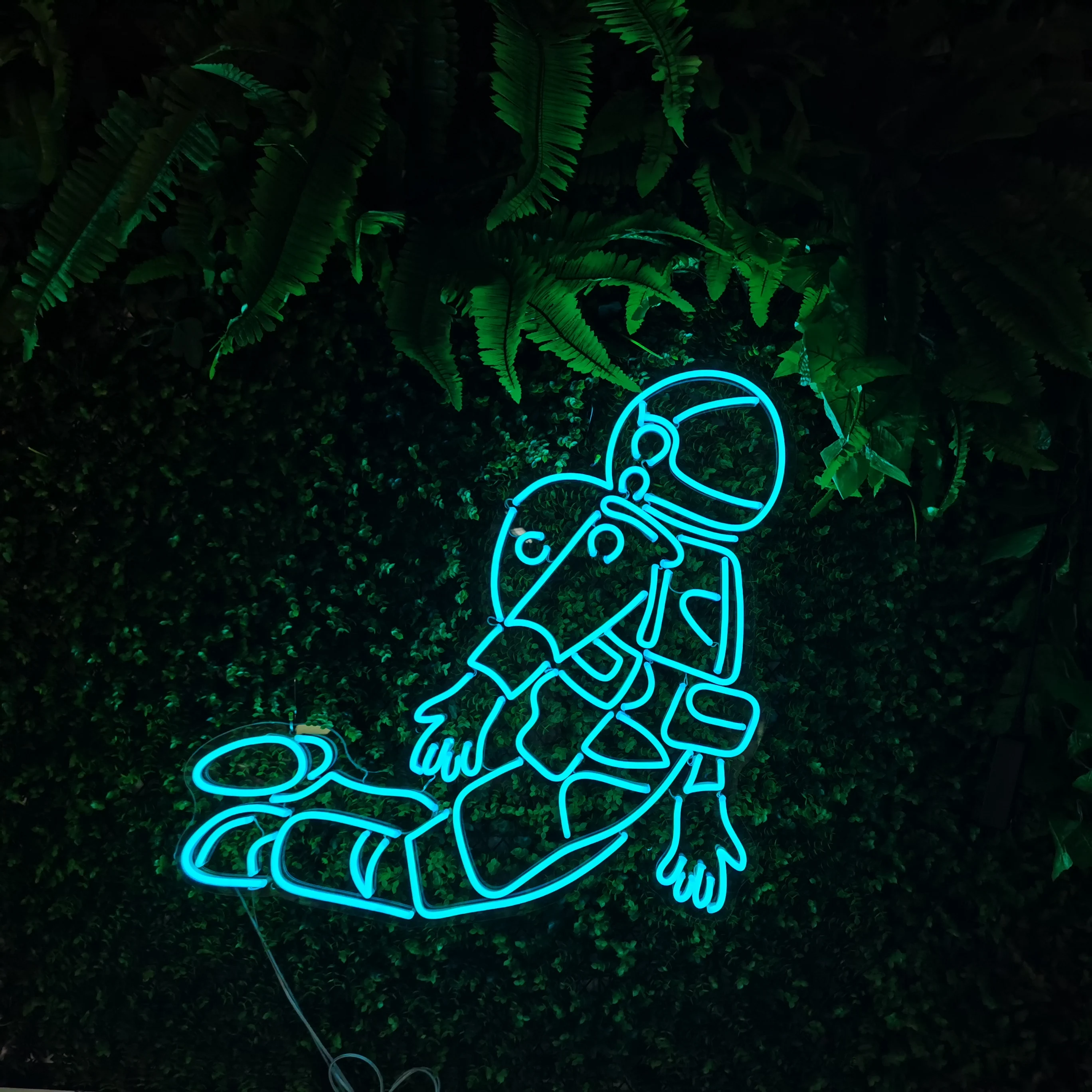 Drop Shipping Light Neon Gorgeous Wall Mounted Advertising Acrylic Decorative waterproof colorful Signage Neon Lights Neon Signs