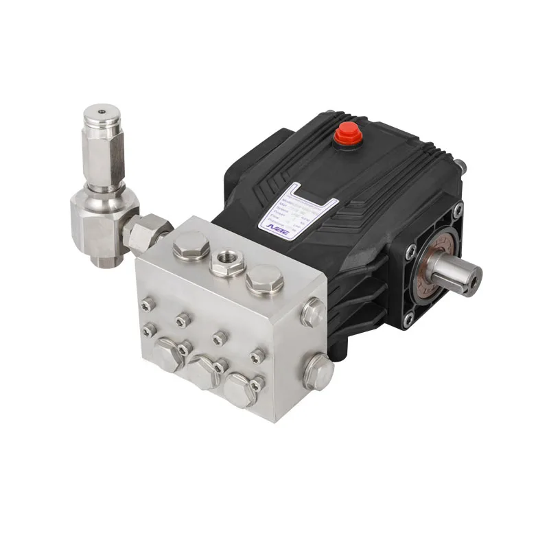 Сверхмощный плунжерный насос SWRO S.S 8lpm 100 бар JPBF01810