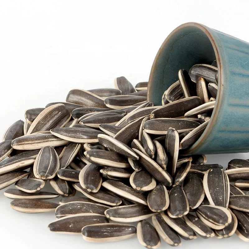 Chinese Best Selling Second Standard Quality Helianthus Annus (sunflower seeds )363  in shell with wholesale price