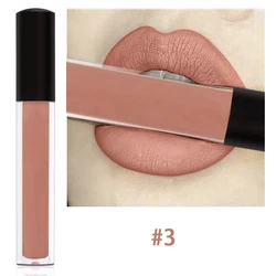 No Logo Lip Stick OEM Private Label Custom Waterproof Longlasting Matte Liquid Lipstick