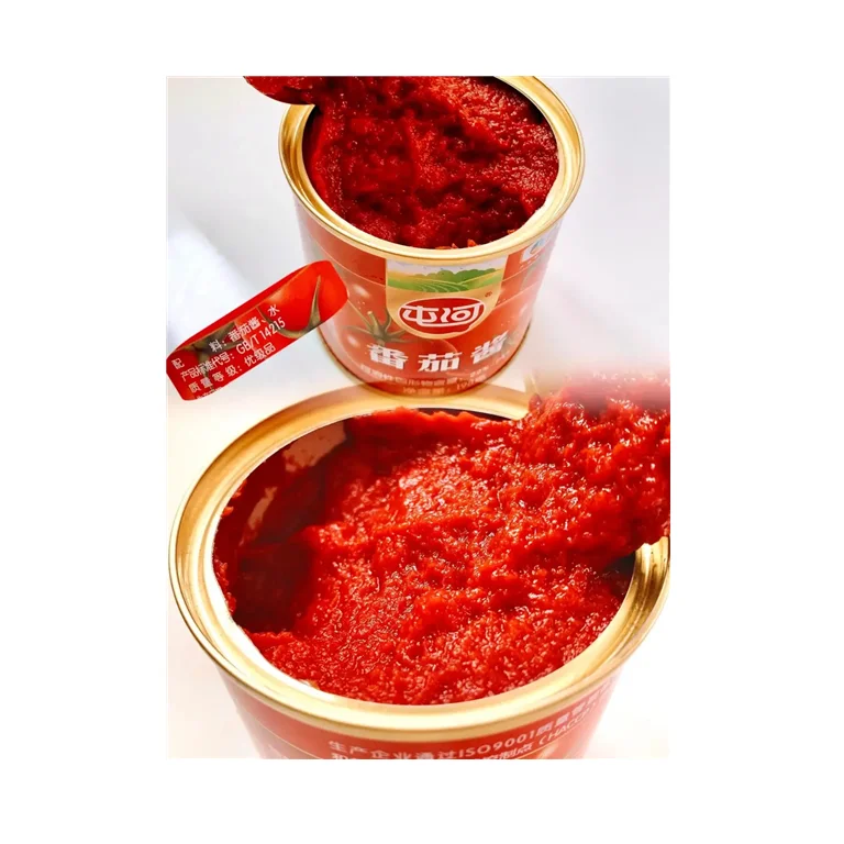 Free Sample Canned Tomato Paste 400g Canned Tomatoes Paste Small Tins Tomato Paste