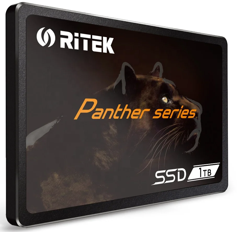 RITEK Panther Series SSD 1TB SATA III SSD