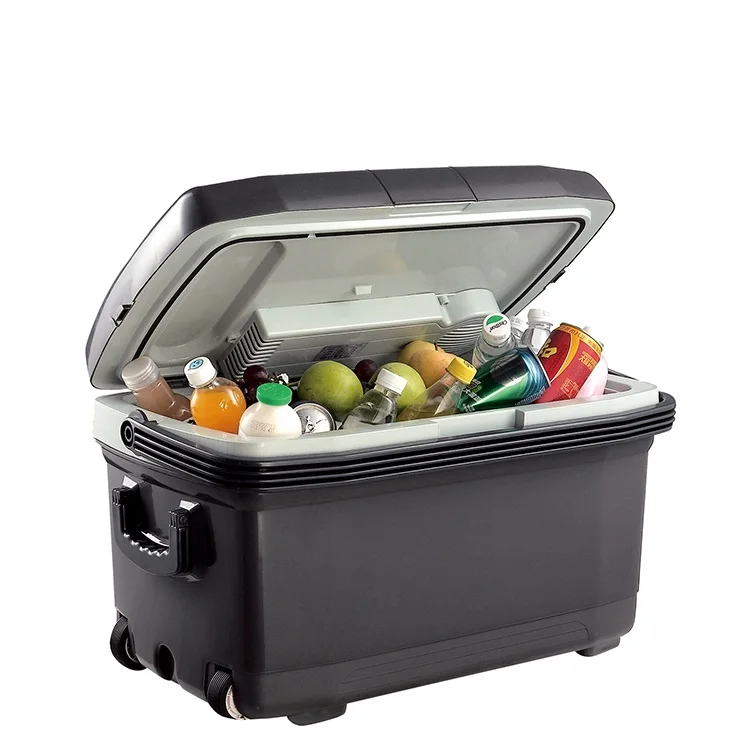 Hot Sale 45L AC 200V DC 12v 24V Mini Portable Electric Out Door Camping Car Fridge Cooler Box
