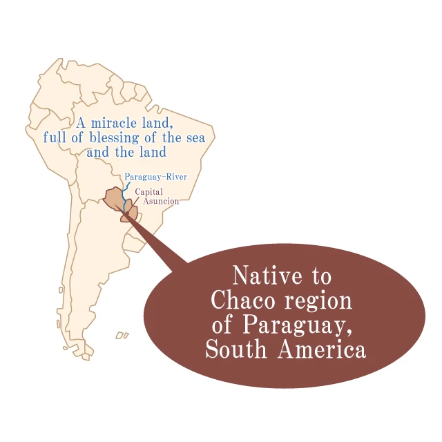 Eliminate swelling beauty detox tea beauty slim herbal tea for health