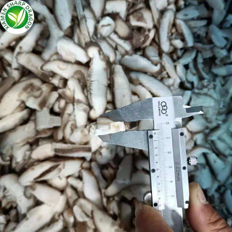 IQF Custom Packaging supply good quality mushroom iqf frozen shiitake cut 1/4 cut