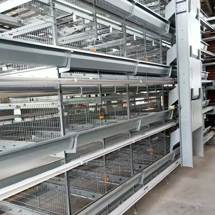 Hardware  Poultry Enclosure Netting Rabbit Run Cage Chicken Coop Iron Wire Mesh Farm Fence Roll Galvanized Welded Wire Mesh