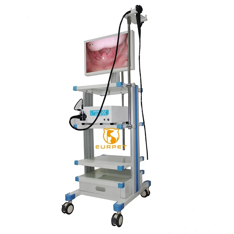 EUR PET Best Selling Veterinary Instrument Prime Veterinary Flexible Endoscope Diagnosis Gastroscope For Vet