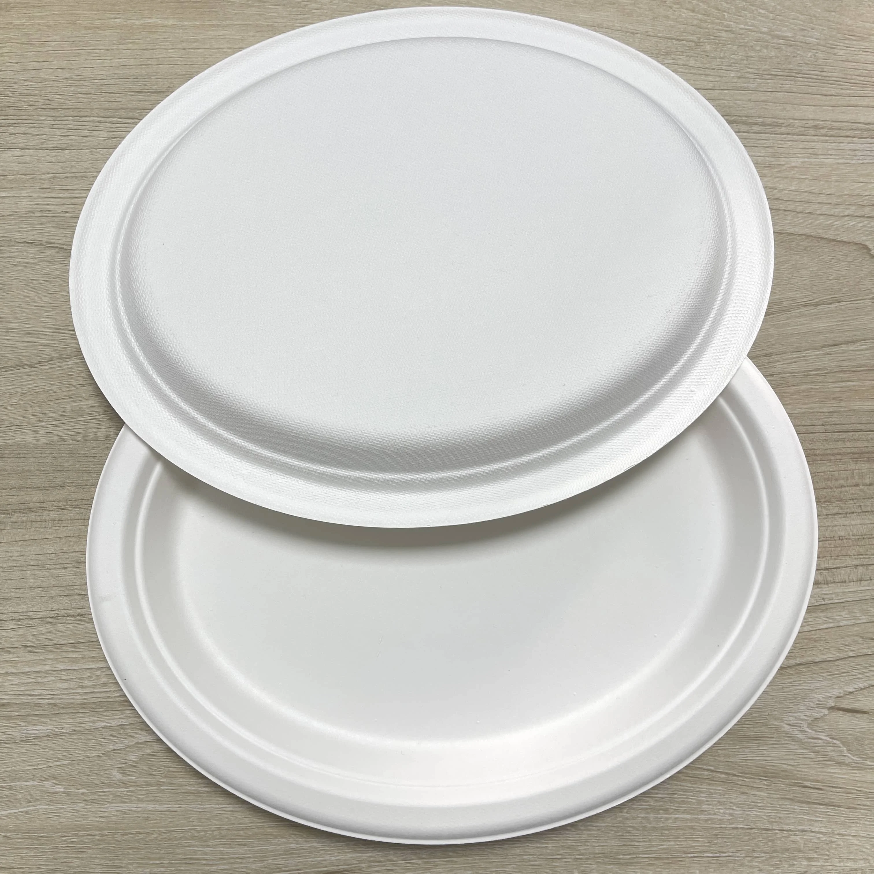 Modern Style Biodegradable Disposable Paper Plate for Restaurants and Parties Sustainable Eco-Friendly Design