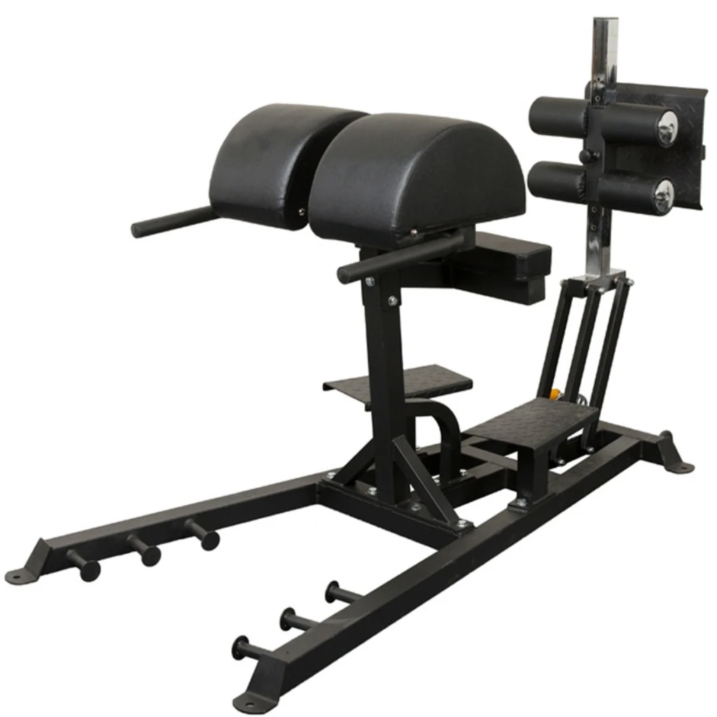 Fitness Adjustable Roman Chair AB Rack Hyperextension Bench with Handle
