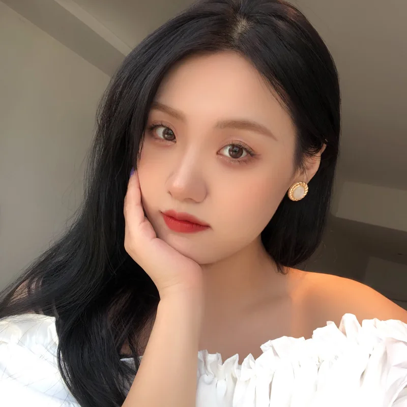 Autumn Winter Newest Exquisite Design Korean Temperament Simple Oval Geometric Niche Style Internet Celebrity Earrings