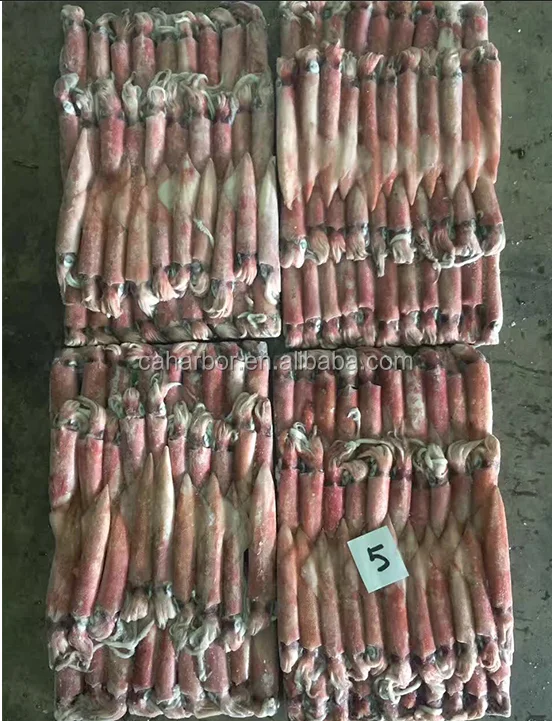 Малый размер illex lолиго замороженный кальмар замороженный розовый/красный кальмар из Вьетнама