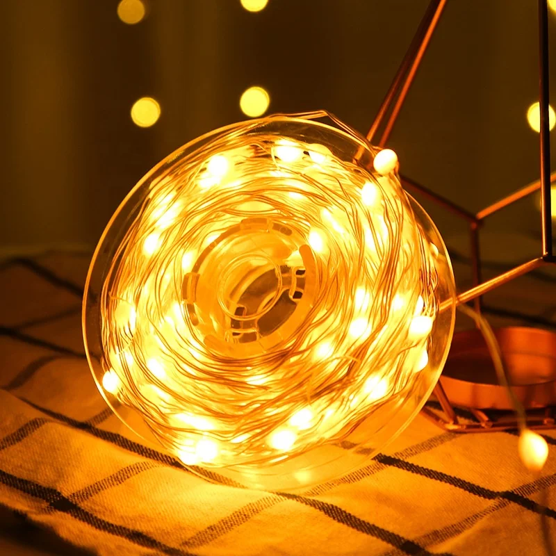 RGB Addressable Copper Wire String Lights USB Powered Dream Color Fairy Lights Party Room Festivals New Year Decorations