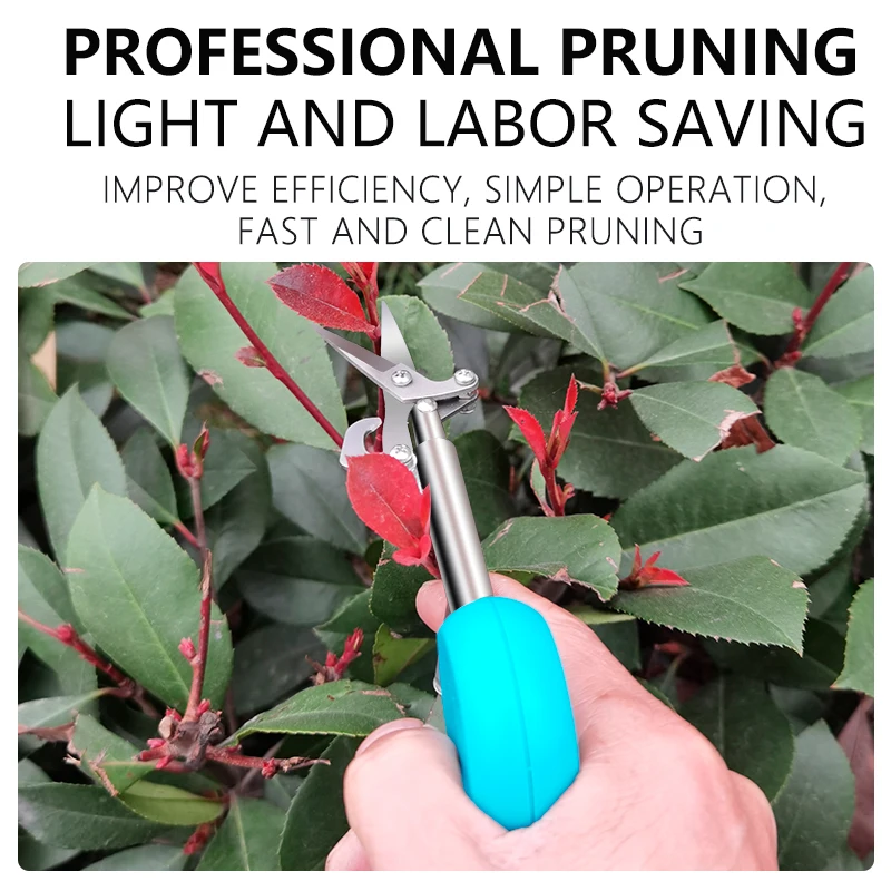 Оптовая продажа, садовые ножницы из нержавеющей стали для резки ветвей, фруктов