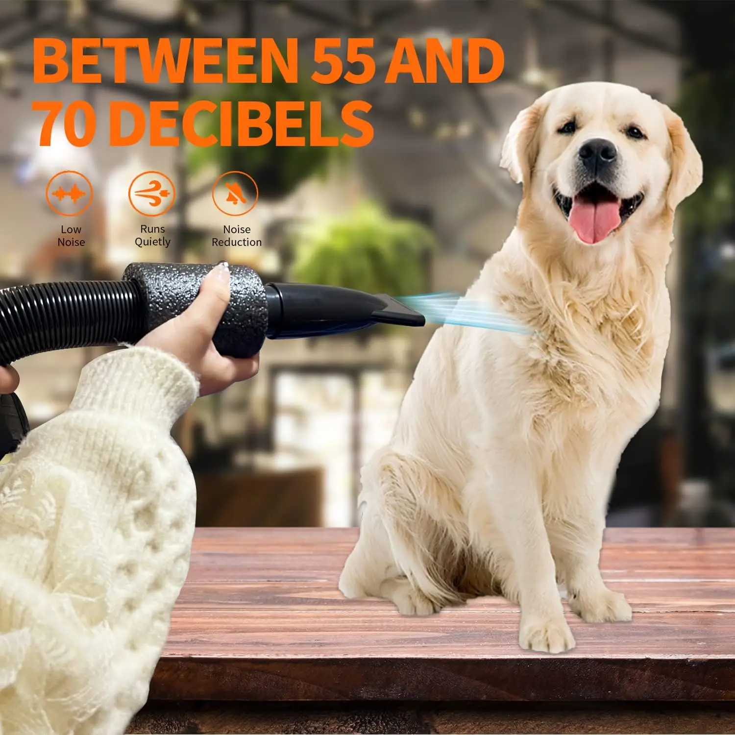 Pet Grooming Hair Dryer Dog Hair Dryer with Adjustable Temperature and Speed for Pet Grooming Pet Hair Dryer