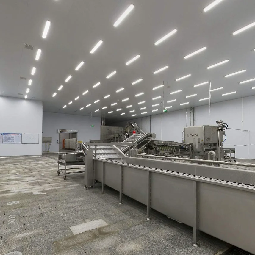 IQF Frozen White Mushroom Champignons