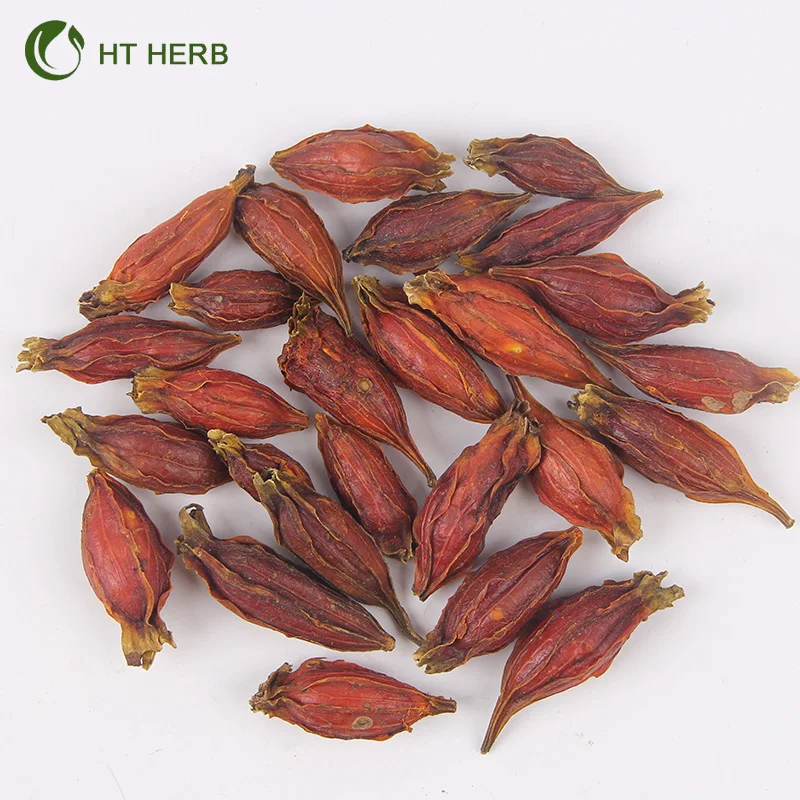 High Quality Fructus Gardeniae Natural Agricultural Product Dried Gardenia Fruits iFactory Price Arrival Dried Fructus Gardenia