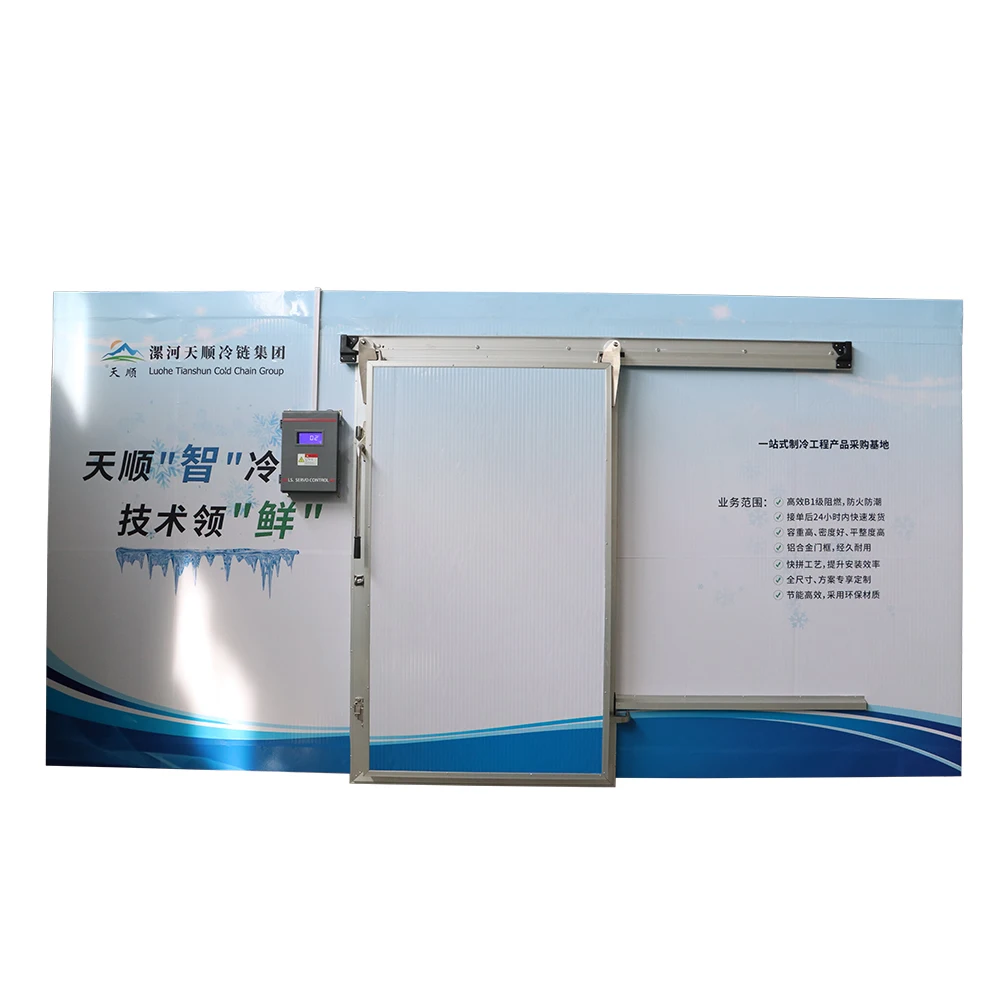Fland Refrigerated walk in Freezer 20ft 40ft Reefer Container cold storage room