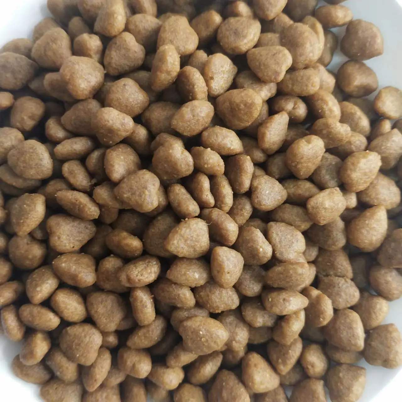 Китайская фабрика оптовая продажа низкая цена еда для собак OEM ODM хорошая вкусовые качества горячая распродажа