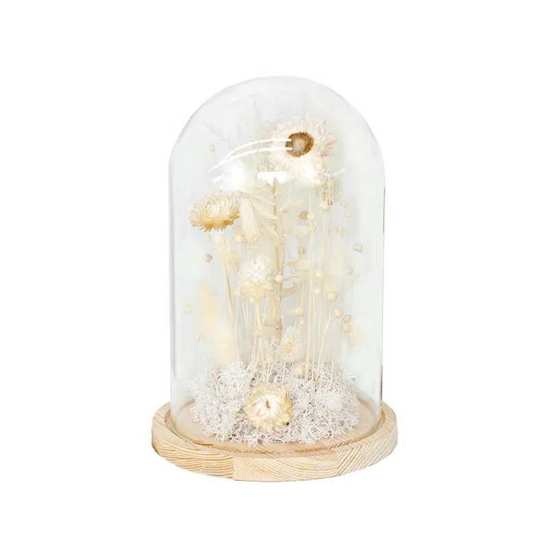 Элегантный Мягкий стеклянный купол мечты: ручная работа белая сушеная Цветочная композиция для памятных подарков ко Дню Святого Валентина и матери в 2023