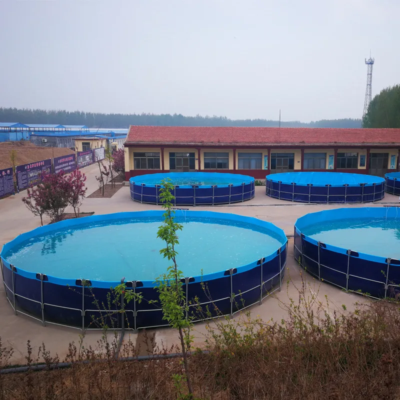 ras Fish-Breeding Pools PVC Fish Breeding Tank Loach Frogs Farming PVC Farming Pool PVC Aquaculture Pool Acuicultura