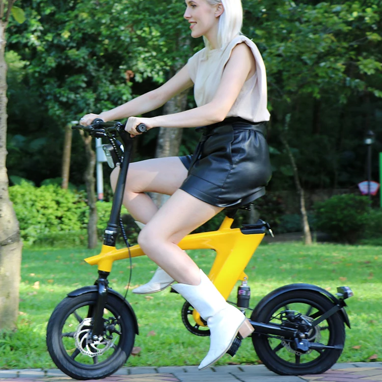 Electric Folding Bike electric bike adult bike electric