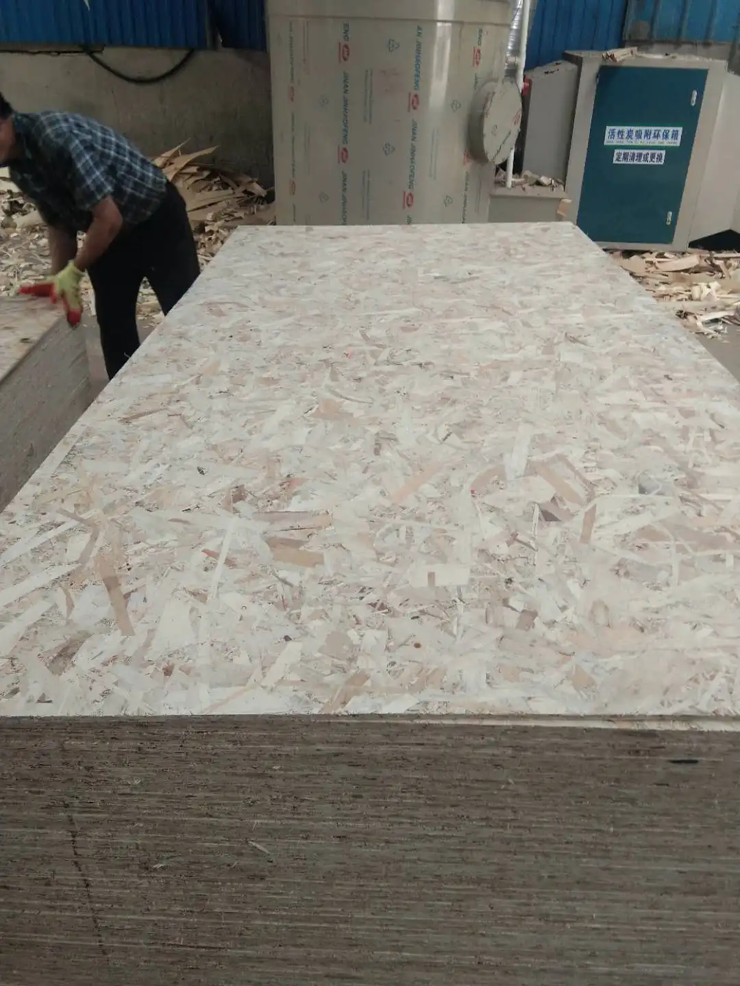 1220*2440mm standard size cheap osb panel OSB1/OSB2/OSB 3