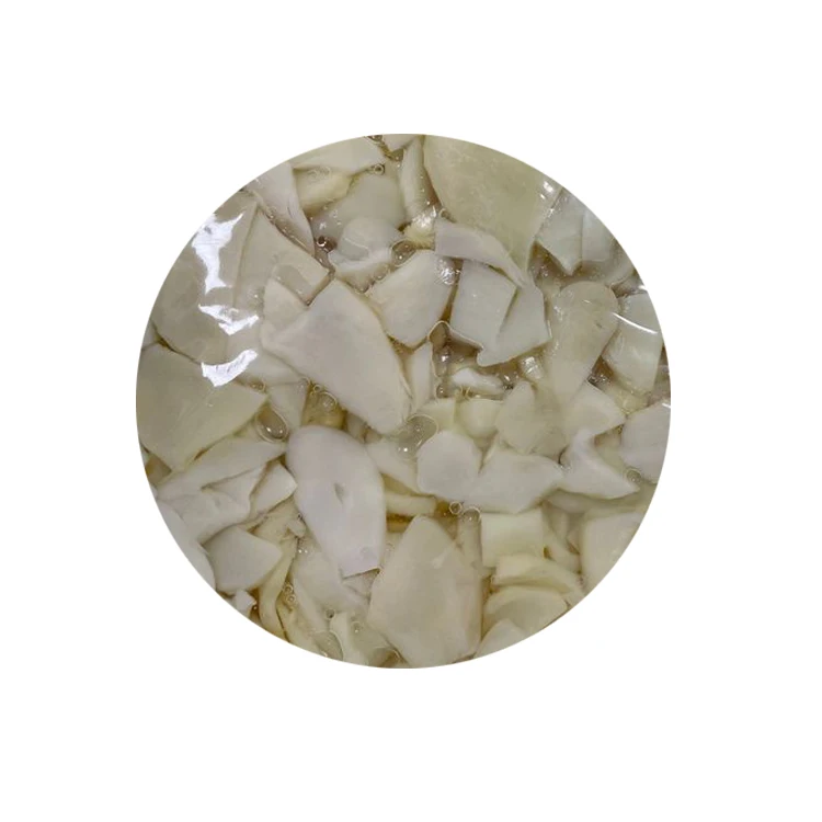 Competitive  Material  King Oyster Mushroom in Drum/ in Bag