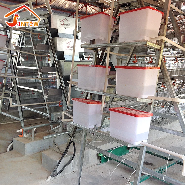 Chicken Poultry Layer Cages System