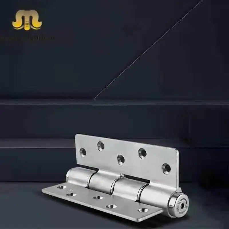 OEM Furniture Square Swing Corner 5 Inch Metal Round Spring Hinges Stainless Steel 304 Ball Bearing Wooden Door Hinges
