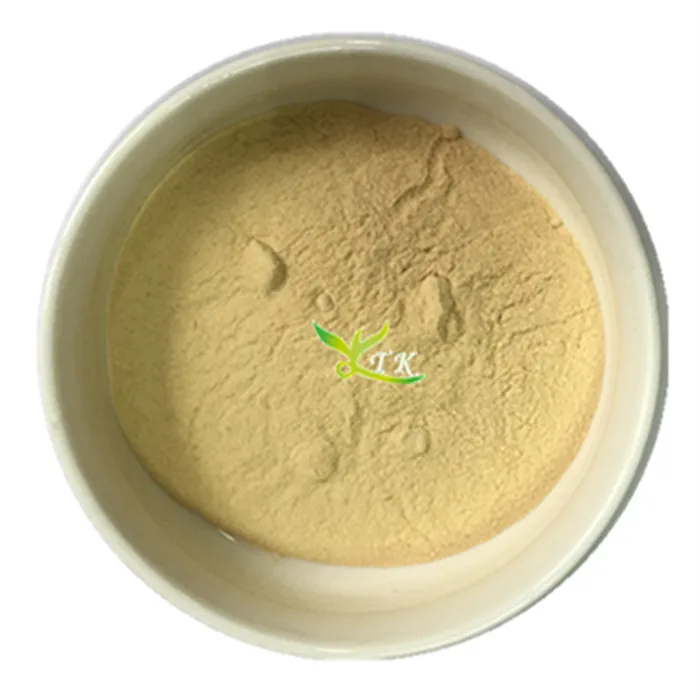 
Organic Functional Drink source ginger powder Freeze Dried Ginger Extract 