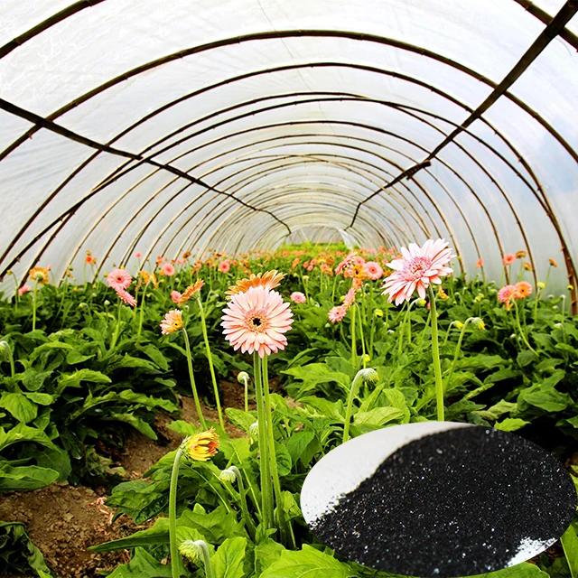 Ningxia Humate foliar flower and fruit spray fertilizer humic acid China trade potassium humate shiny flakes