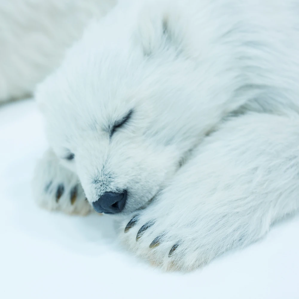 100% Artificial Polar Bear New Molding Craft Suppliers For Artwork