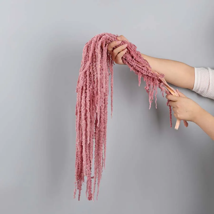High quality Natural Dried Amaranth Preserved Hanging Amaranthus For Wedding Decoration