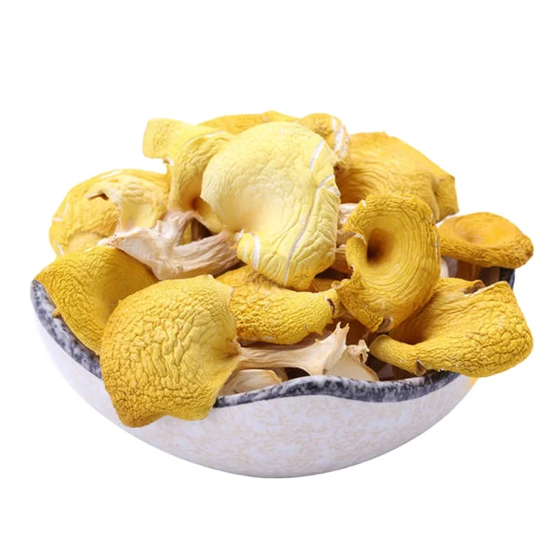 Китай сырые сушеные грибы Cantharellus cibarius для