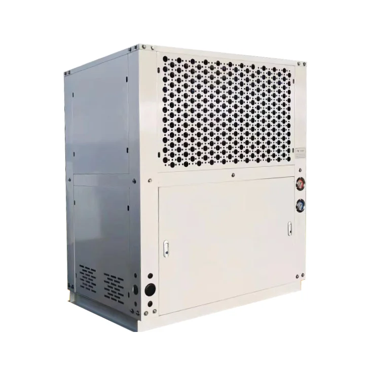 Customized Compressor Refrigeration Condensing Unit Refrigeration Room Freezing Turbine Cooler