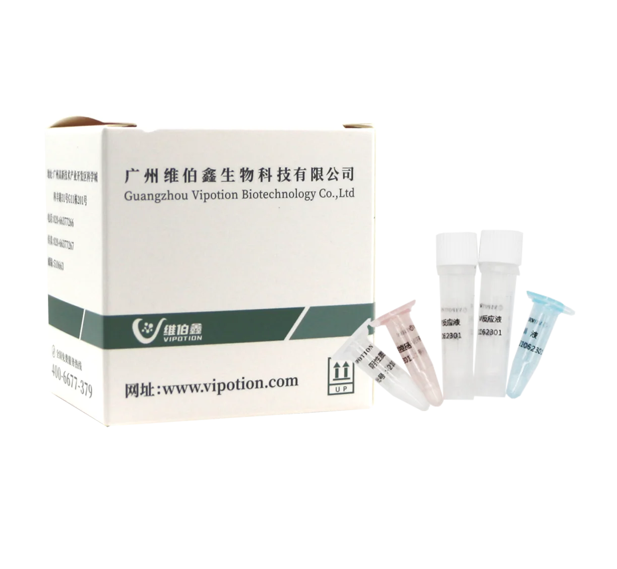Набор для обнаружения Cytauxzoon cat Cytauxzoon pcr в реальном времени PCR, лиофилизированный cat PCR, тестовый набор от производителя