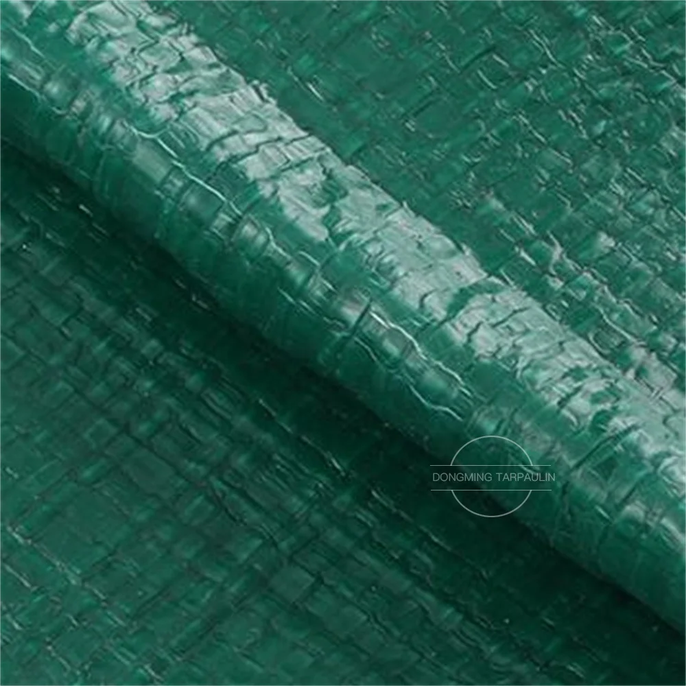 Factory Supply Recycled PE Plastic Woven Tarpaulin Fabric in Standard Size PP
