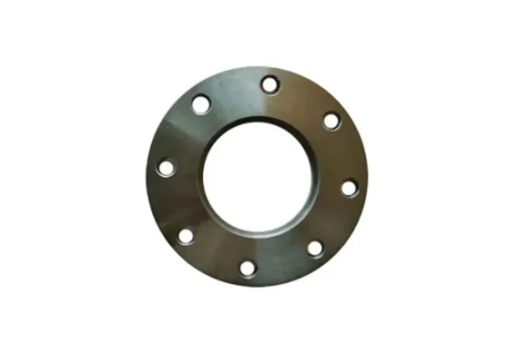 Forged Stainless Steel Blind Flange