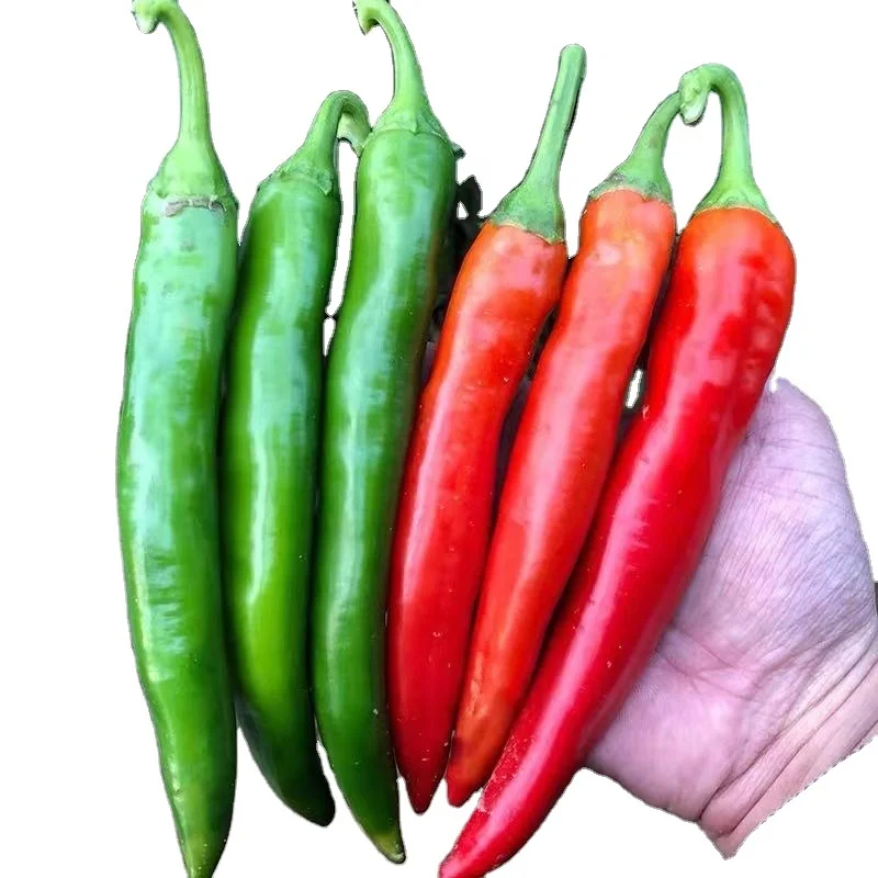 
Hybrid f1 hot chili Hot Pepper Vegetable Seeds for Planting 