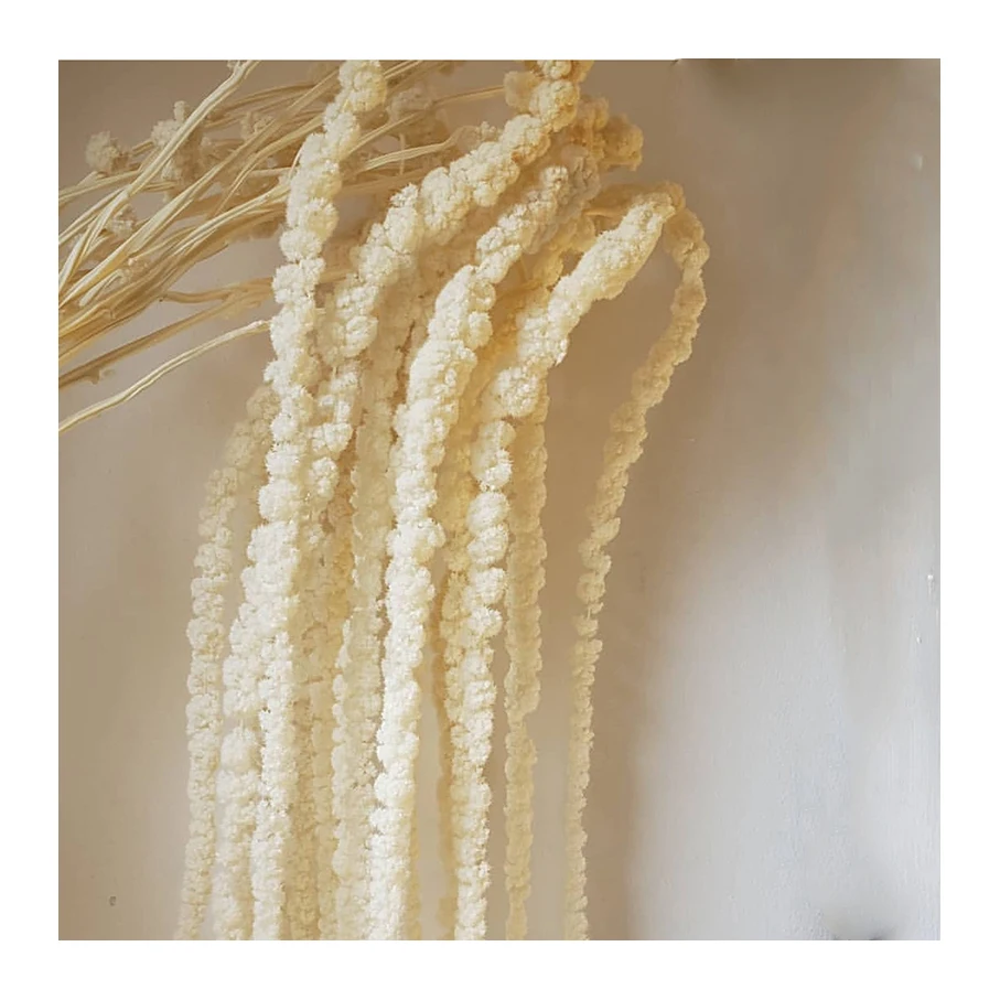 Yunnan natural wholesale natural dried preserved amaranth for home decoration & wedding