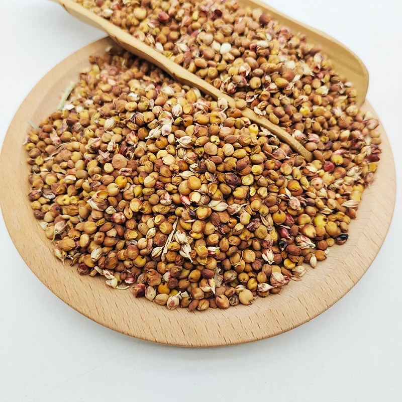 Good price High quality Professional manufacturer supply Bulk Sorghum Grains for Birds Food