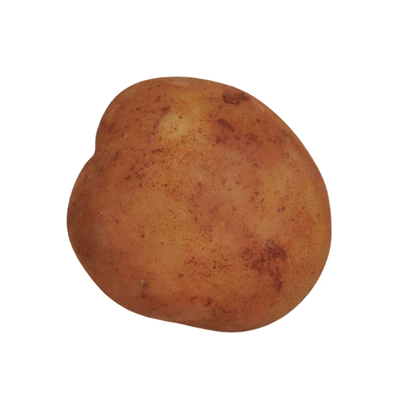 High Quality Vegetable Fresh Potato Bulk Potato Wholesale Price (1600194551637)
