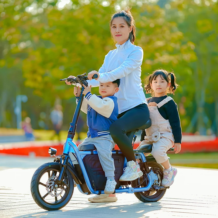 Ежедневное использование городской велосипед электрический Ebike Bicicletta складной 14-дюймовый электровелосипед 36 В Электрический