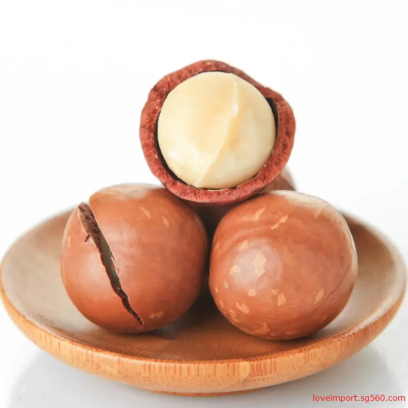Macadamia Nuts with Best Quality Cheap Price and Delicious Without a shell Chinese Macadamia Nuts