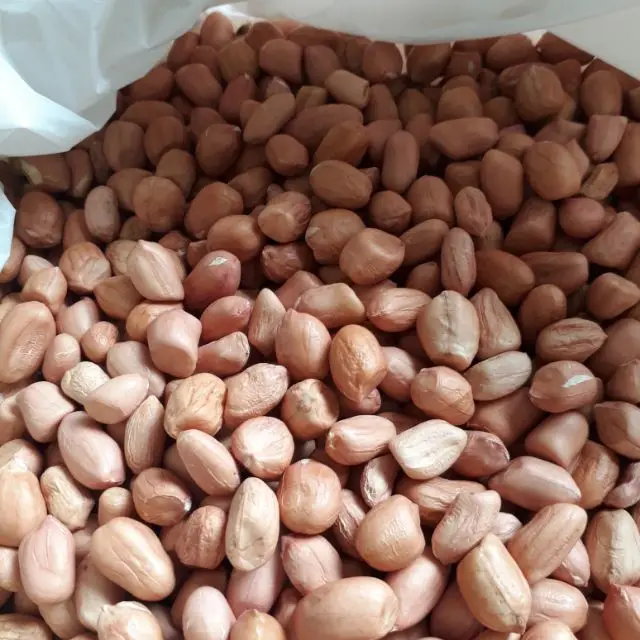 HOT SELLING - PEANUTS WITH HIGH QUALITY FROM VIETNAM ( Whatsapp: +84975262928, Helen)