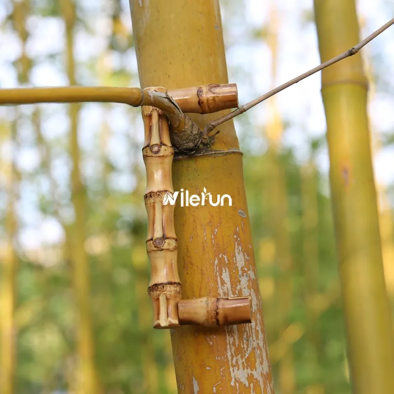 Furniture kitchen cabinet dresser wardrobe closet wooden bamboo root handle drawer pull