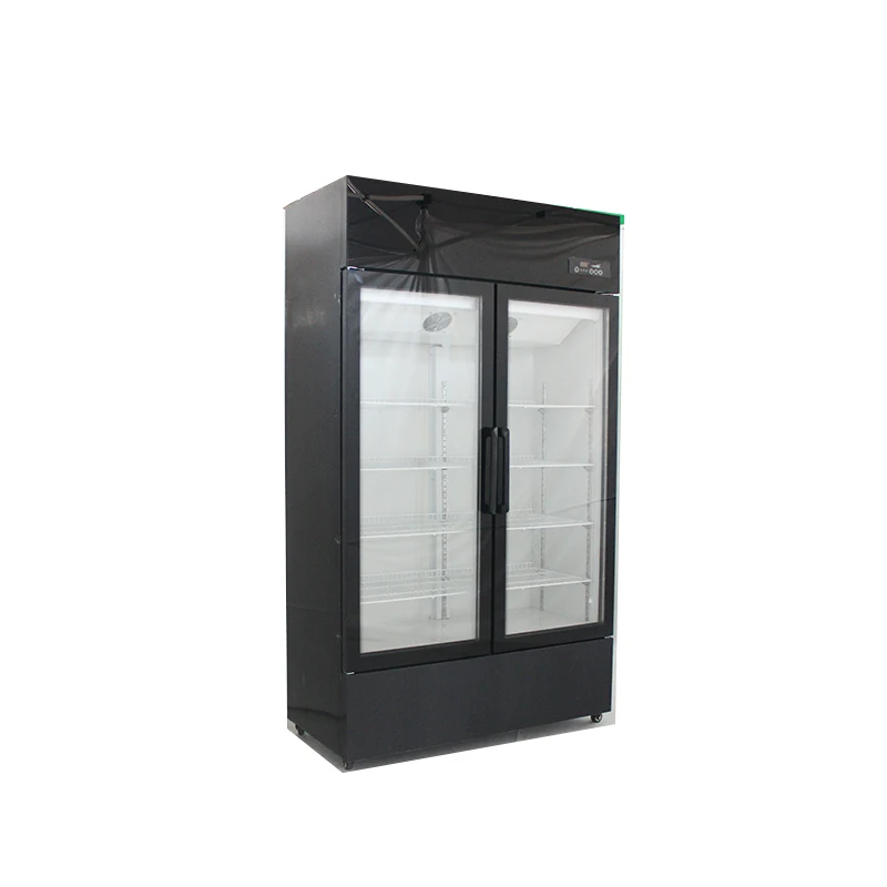 Commercial Single-Temperature Pepsi Drink Display Refrigerator 2-Door Glass Door Cooler for Supermarket Meat Store Applications
