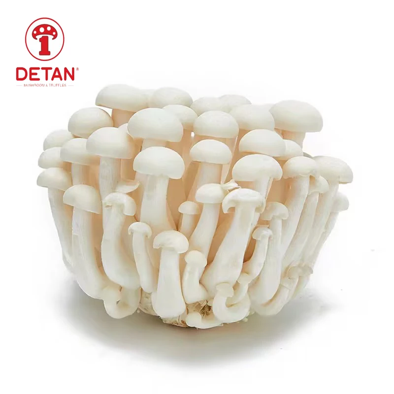DETAN Chinese Factory Growing Exotic White Beech Fresh Shimeji Mushroom
