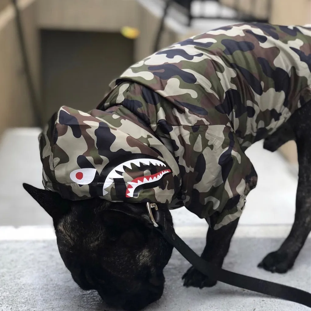 Hot Selling Large Pet Windbreaker Rain Coat Shark Luxury Fashionable Pet Colourful Hoodies Custom Dog Clothes For Dogs Sale