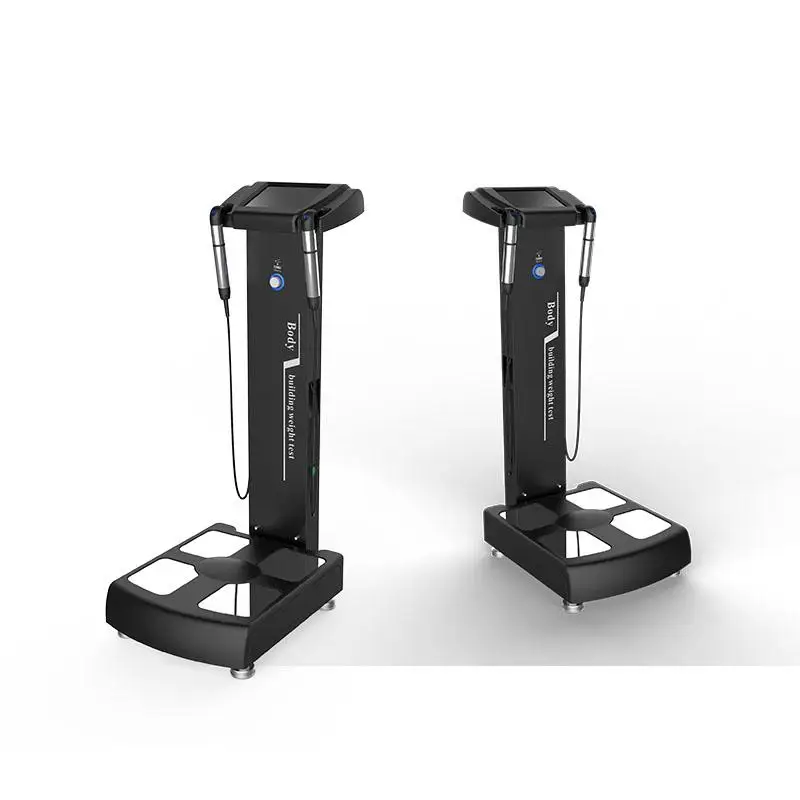 2020 IN Stock Factory Price Professional Body Composition Analysis / body fat analyzer